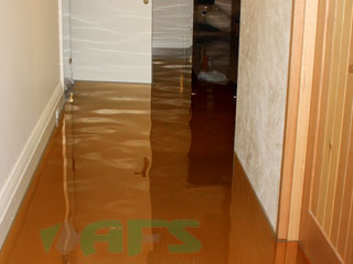 AFS Flood Restoration